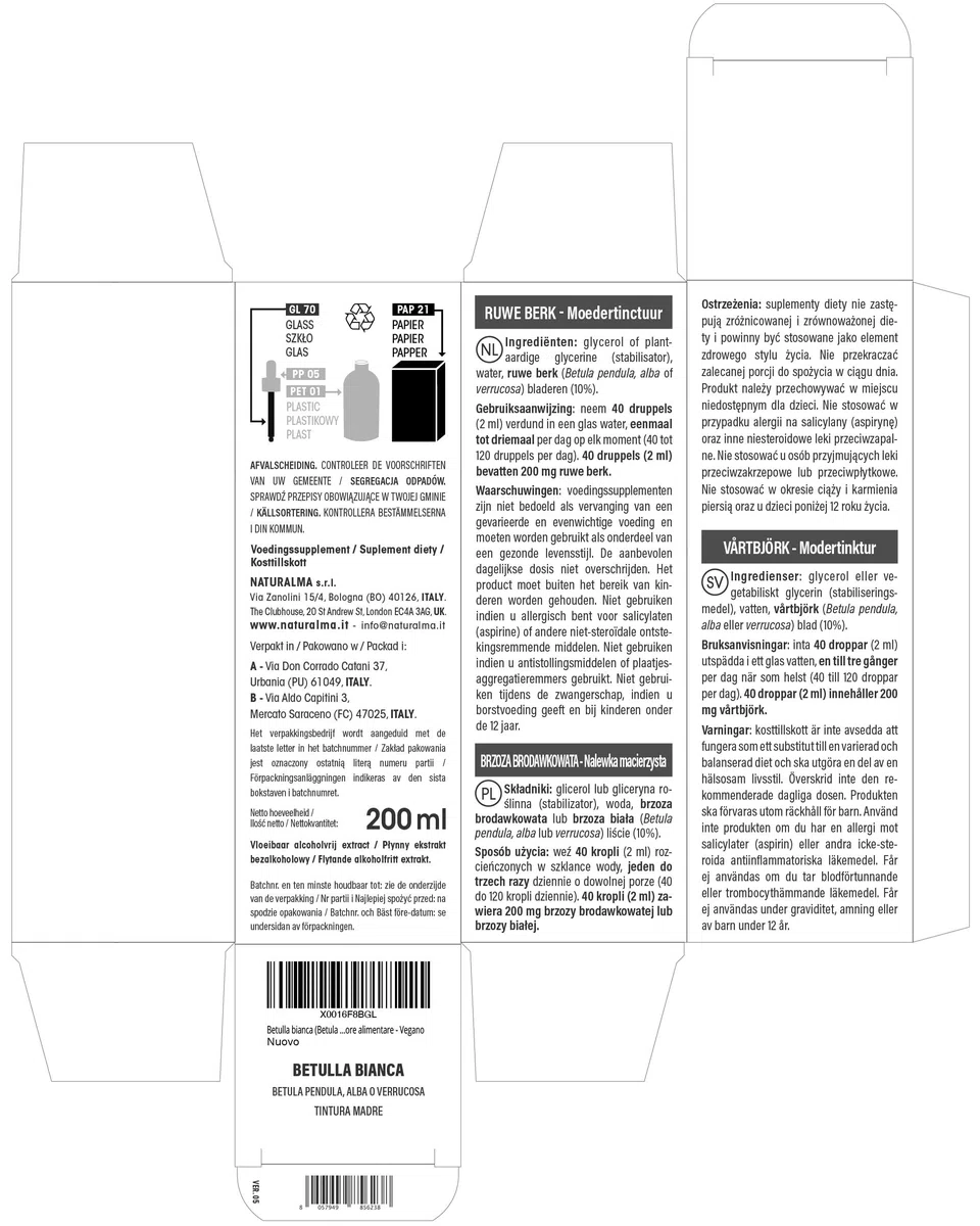 Betulla bianca (Betula pendula, alba o verrucosa) foglie Tintura Madre analcoolica Naturalma - Estratto liquido gocce 200 ml - Integratore alimentare - Vegano