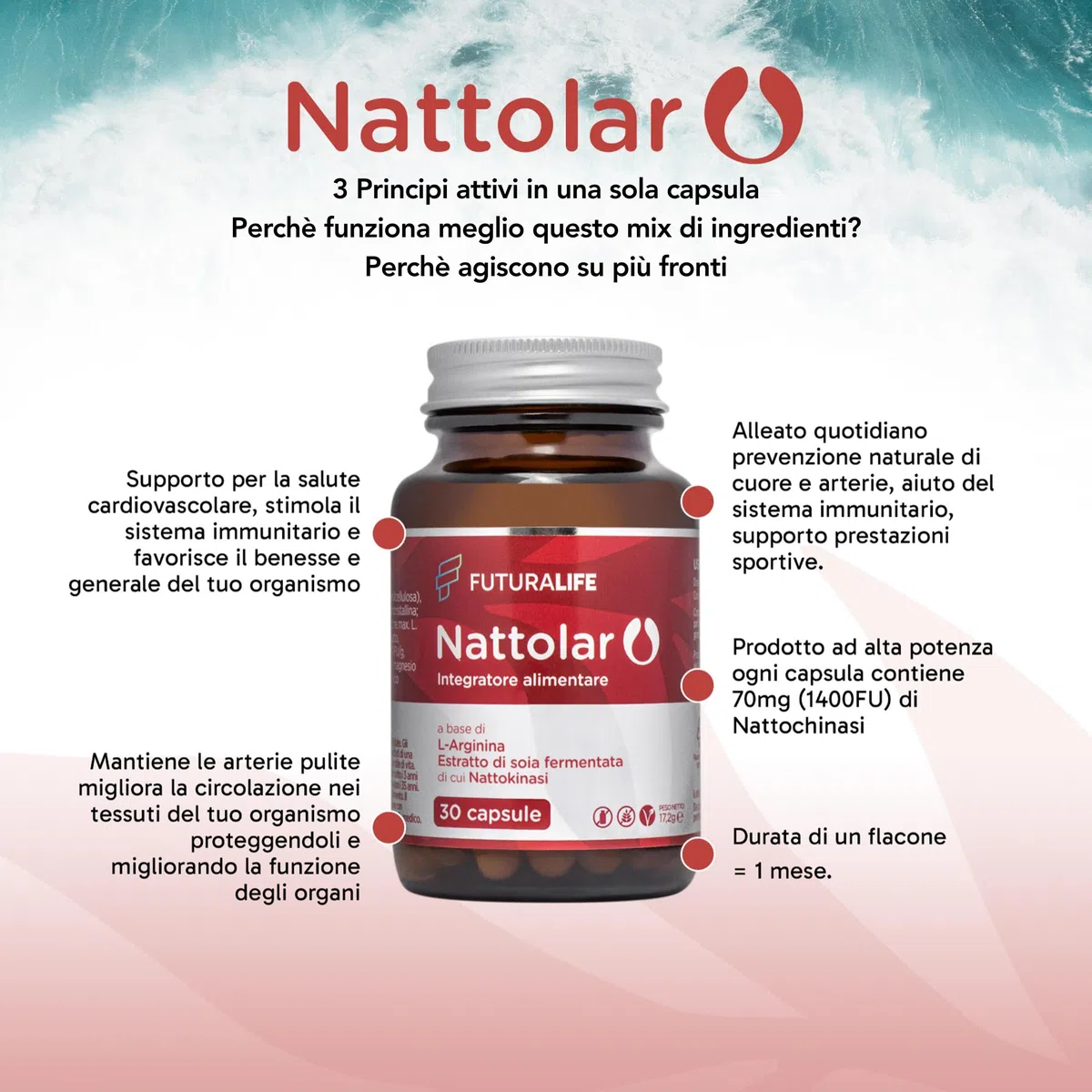 NATTOLAR Arginina e L-Citrullina = Recupero Muscolare + Vitalità di Coppia | Post Allenamento, Resistenza - Nattokinase | Supporto Circolazione, Arterie Sane e Pulite | Integratore per Sportivi. 30cps