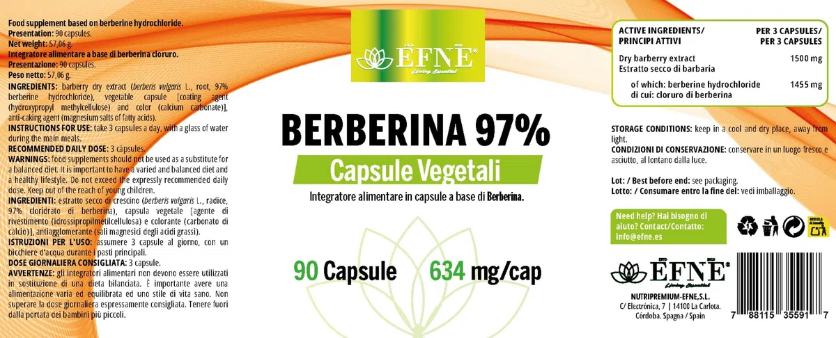 EFNE | Berbérine 97% de Concentration | Dosage Élevé 634 MG/Capsule | Extrait de Berberis - 1500 mg | 90 Gélules Végétaliennes avec Berbérine HCl |