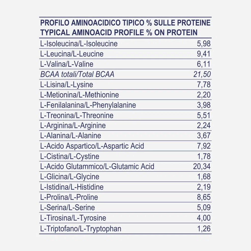 PROLABS TOTAL PROTEIN – Blend di 6 Proteine con Whey Isolate, Idrolizzate e Concentrate | Rilascio Graduale | Supporto Massa Muscolare | Con Vitamina B6 | Ottima Solubilità | 1000 g | Cioccolato