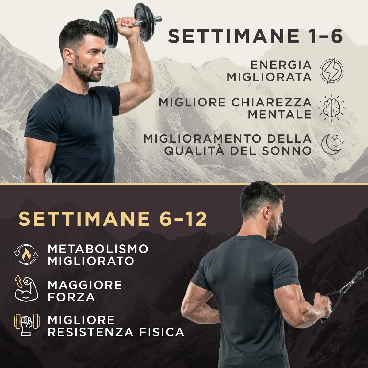 Resina di Shilajit Oro 40g – 81% Acido Fulvico, B12 & Minerali – Energia, Focus & Resistenza – Vegano, Testato in Laboratorio – Fornitura di 3 Mesi