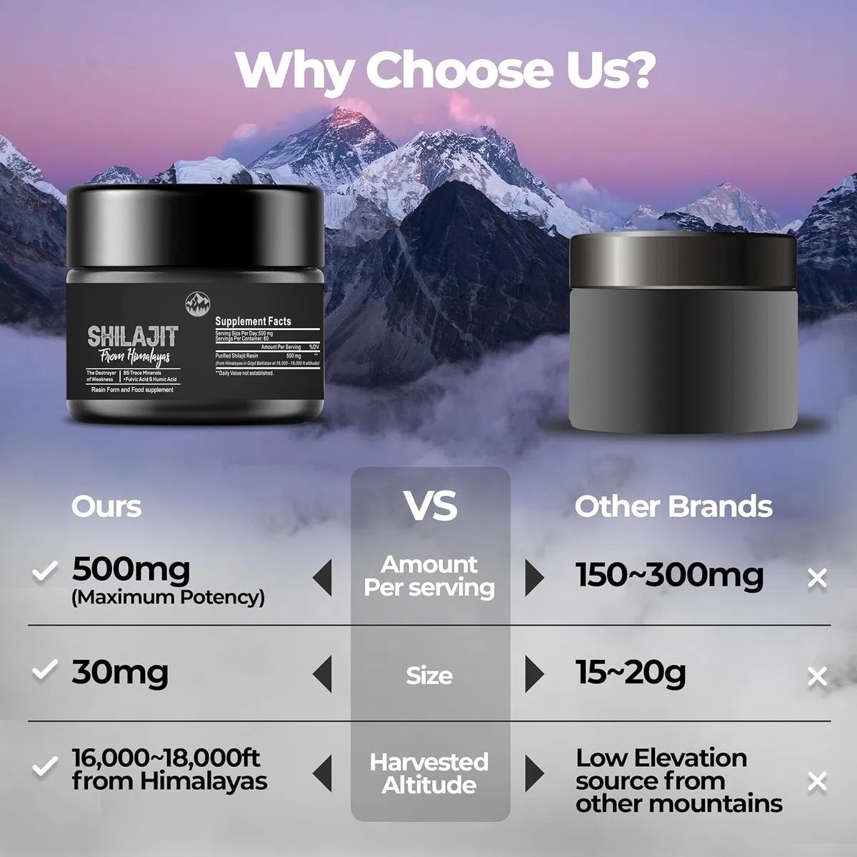 Pure Shilajit Himalayan Shilajit - 600 mg 100% naturale biologico Shilajit con 85+ tracce di minerali e acido fulvico per energia, forza e immunità, 30 grammi (1 x)