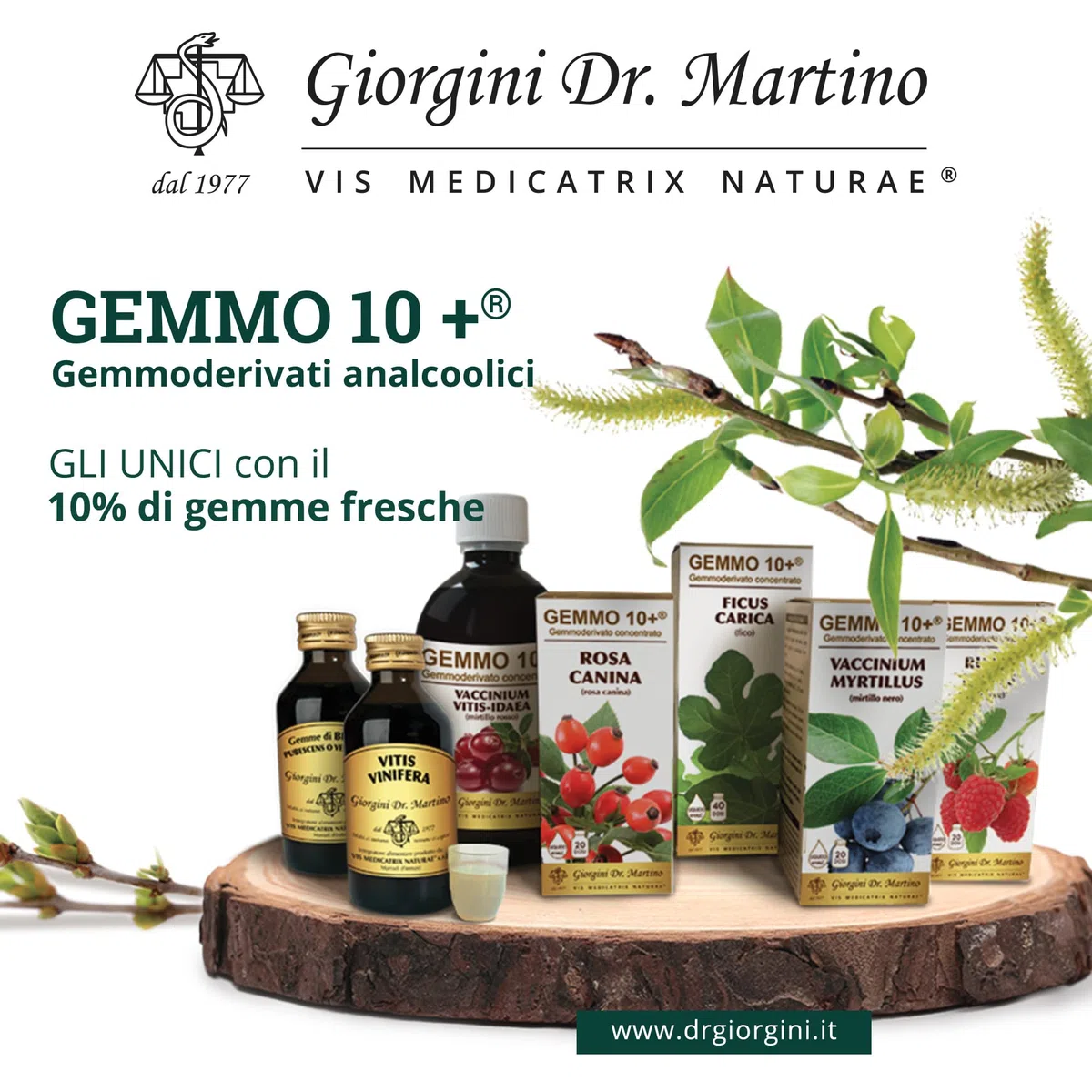 Dr Giorgini Integratore Alimentare, Mirtillo Nero Gemmoderivato Concentrato Liquido Analcoolico - 100 ml