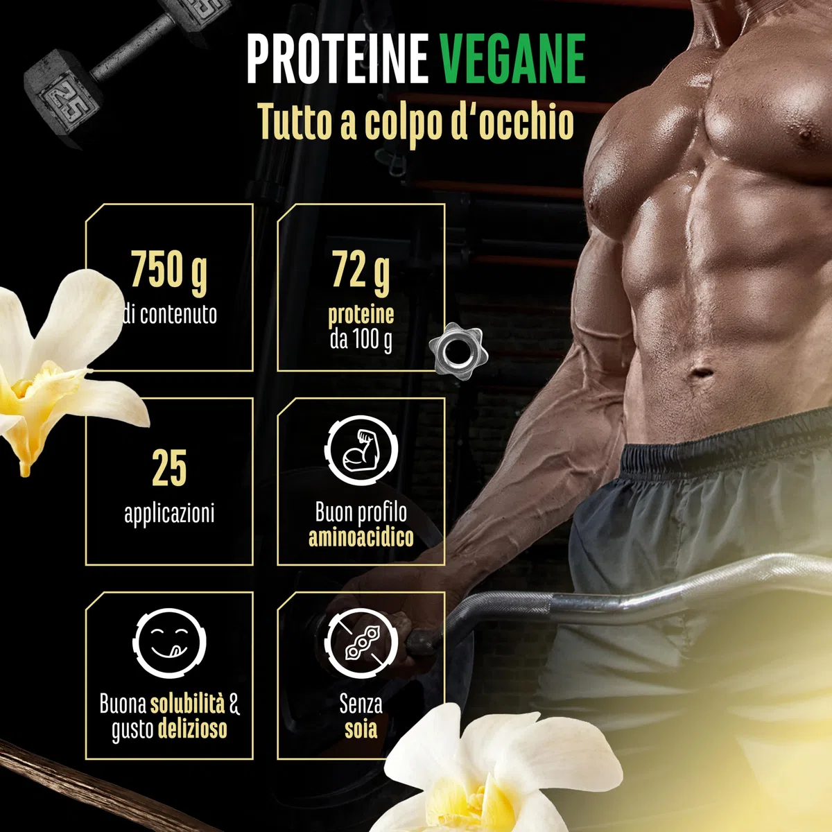Proteine vegane in polvere - Proteine vegetali da piselli, riso, mandorle e canapa - Senza soia - Deliziose e cremose - (750 g, vaniglia)