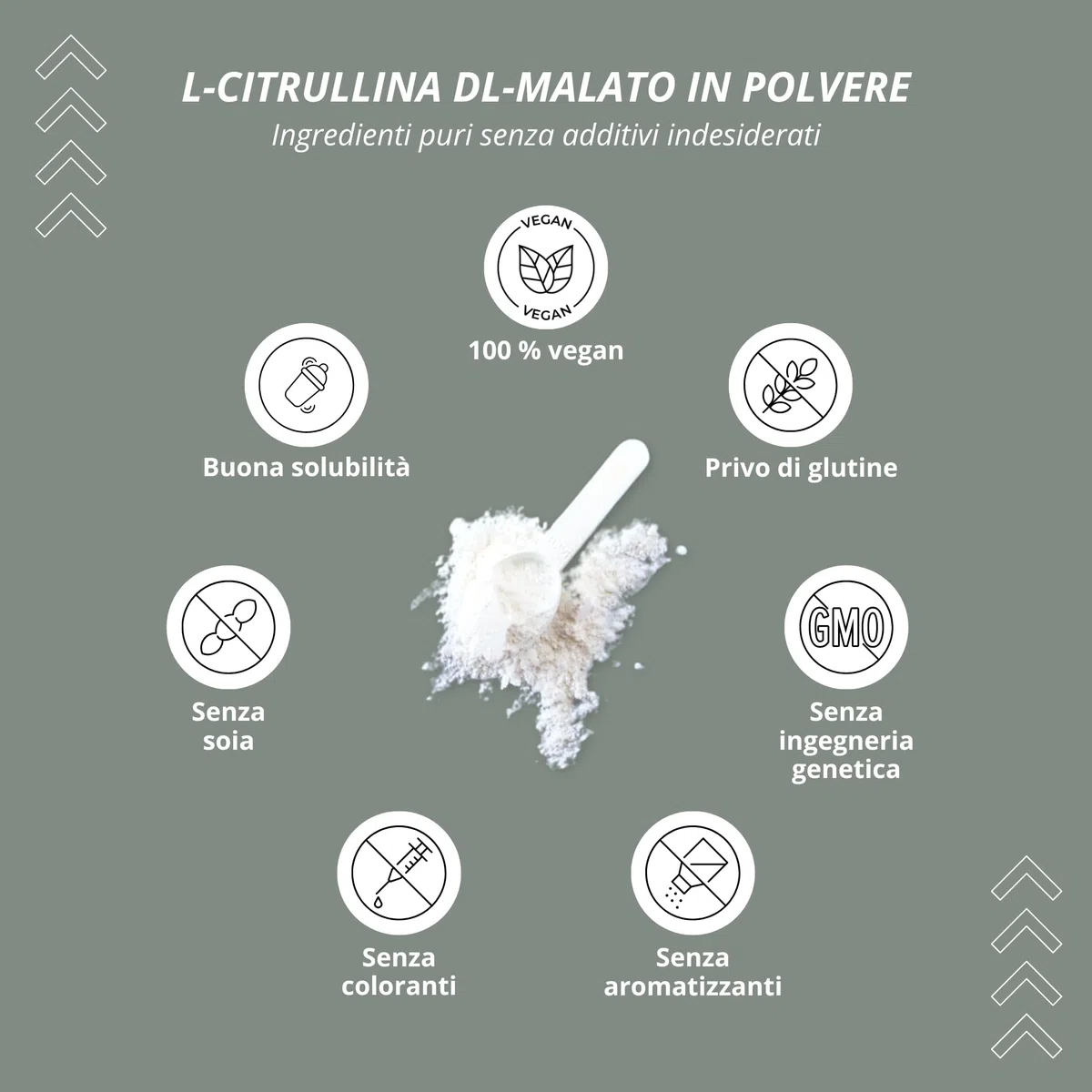 Nutri + L-Citrullina Malato in Polvere 500g - altamente dosata + vegan + pura - Booster per Bodybuilding e Fitness - L-Citrulline Malate DL 2:1 in Polvere - Qualità premium da Fermentazione vegetale