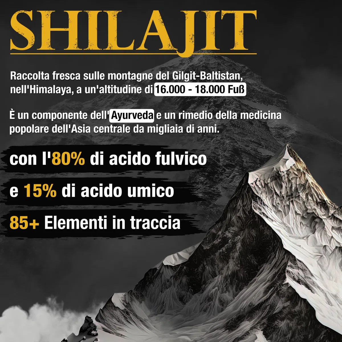 Shilajit Resina Gold Standard 60 g 85+ minerali, massima potenza dall'Himalaya oltre 3 mesi, 100% puro e originale vegano e senza additivi